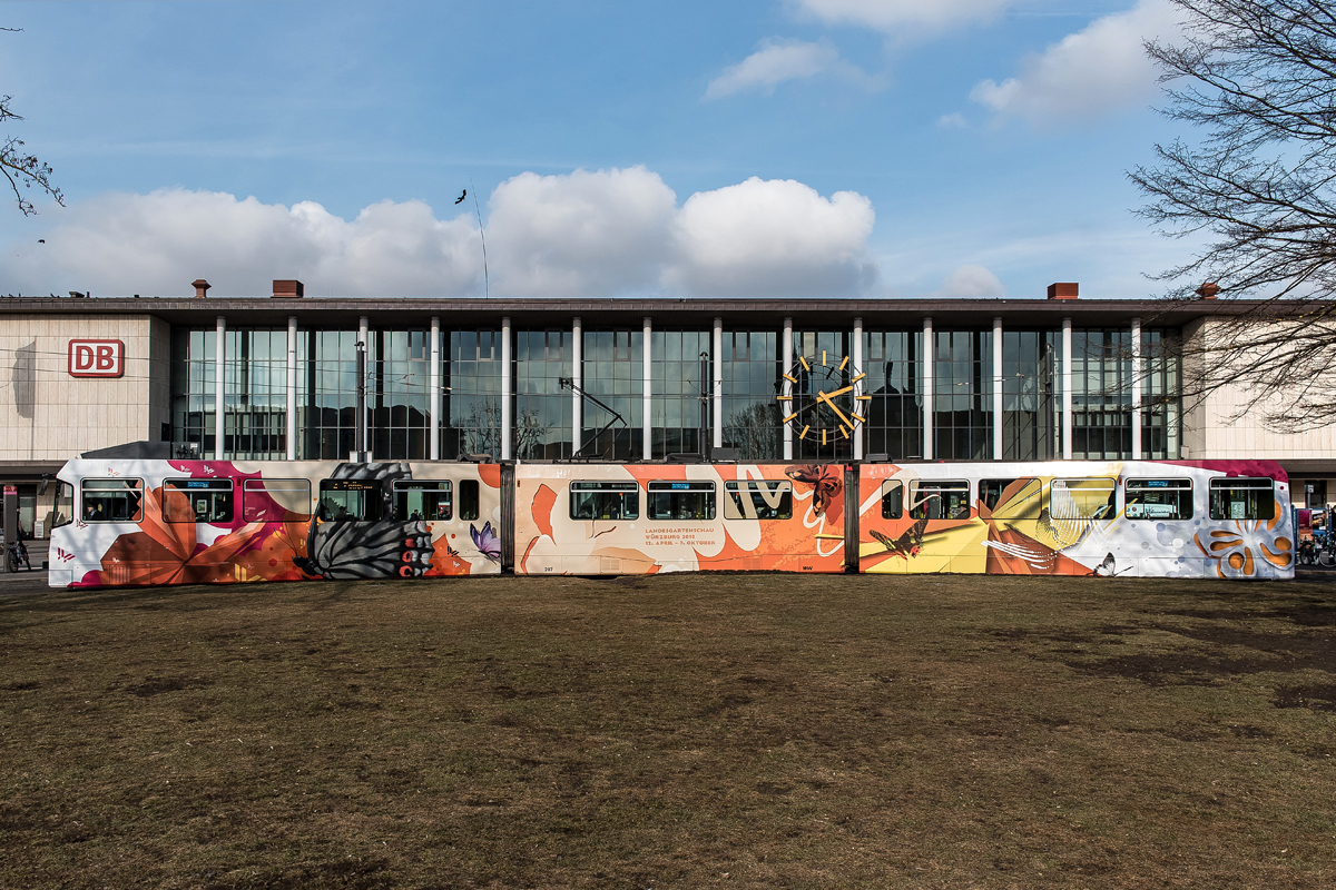 Landesgartenschau 2018