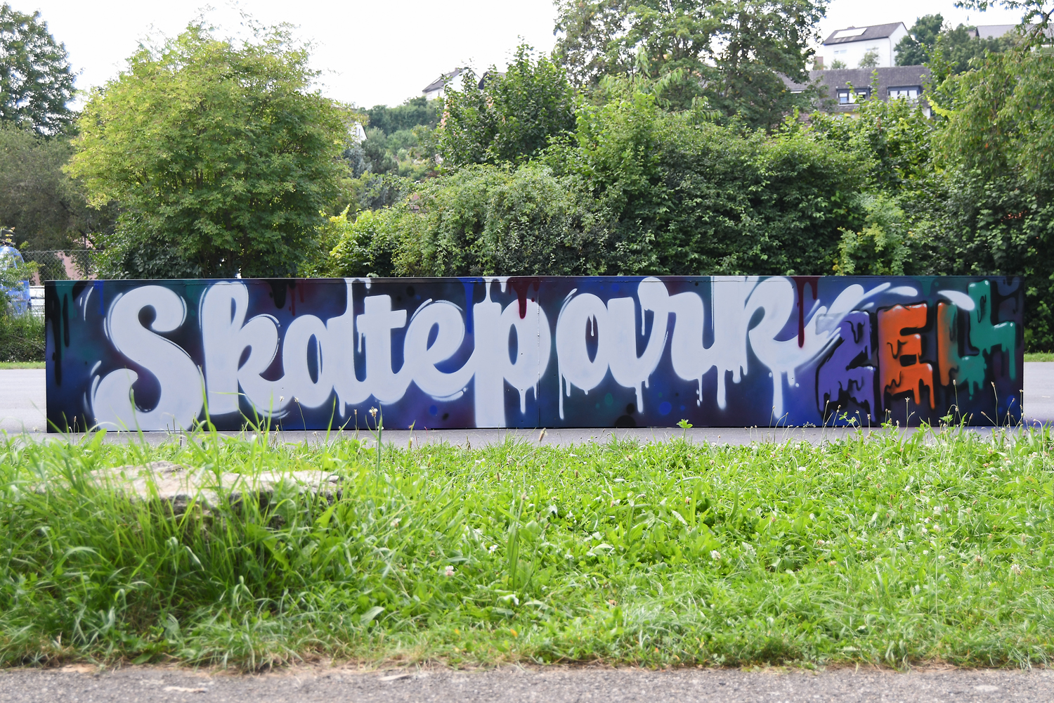DSC_7999.jpg
